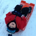 Leo sledging