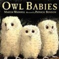 owl babies_thumb