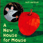 new house for mouse