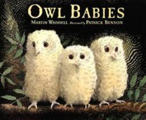 owl-babies-2