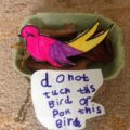 activity bird in nest with label
