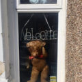 bear1