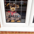 bear3