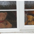 bear4