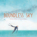 boundless sky